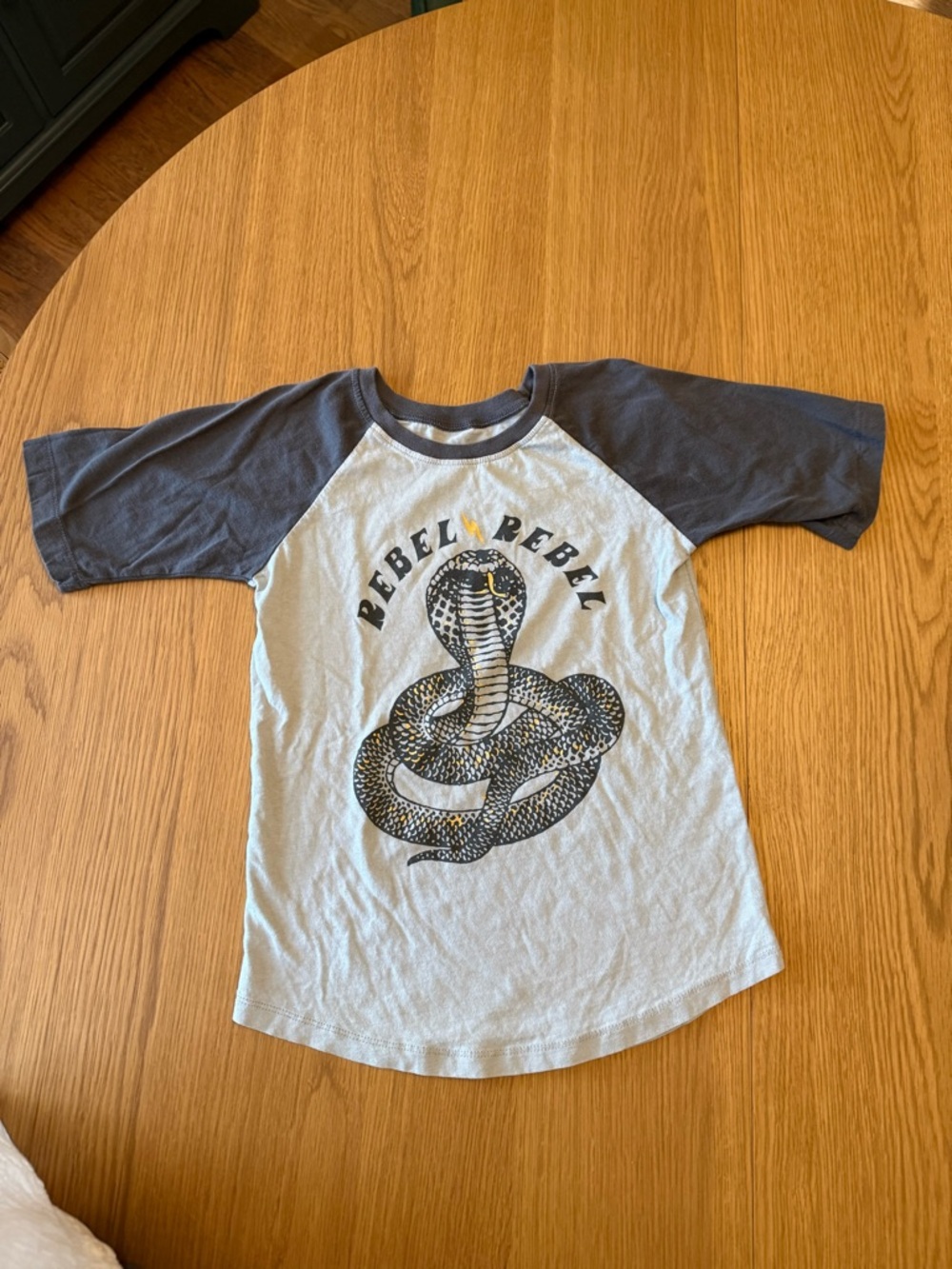 Tiny Whales Rebel Rebel Cobra Raglan Tee in Gray